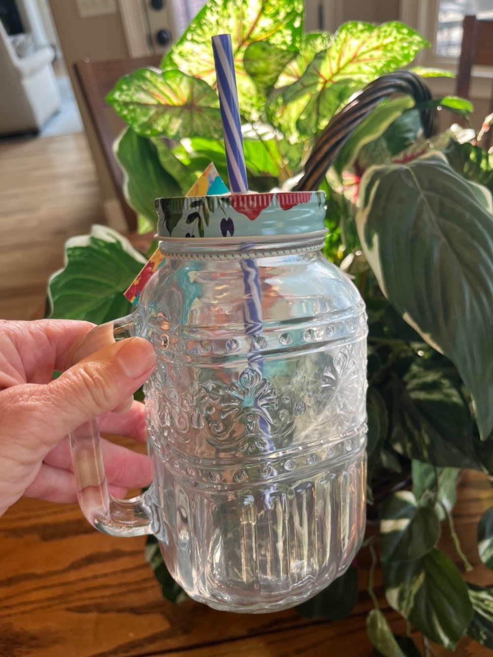 Pioneer Woman Mason Jar Clear with colorful lid and straw Drinking Glass New